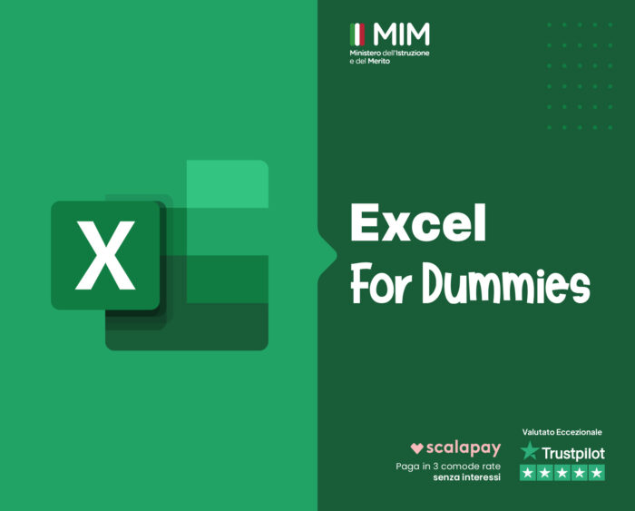 Excel for dummies