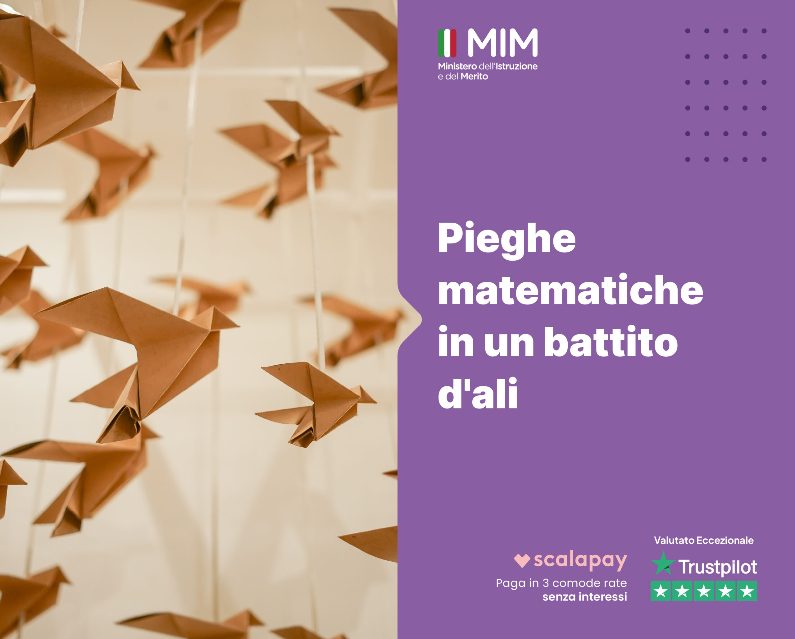 Pieghe matematiche in un battito d'ali